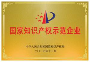 11.國家知識產(chǎn)權(quán)